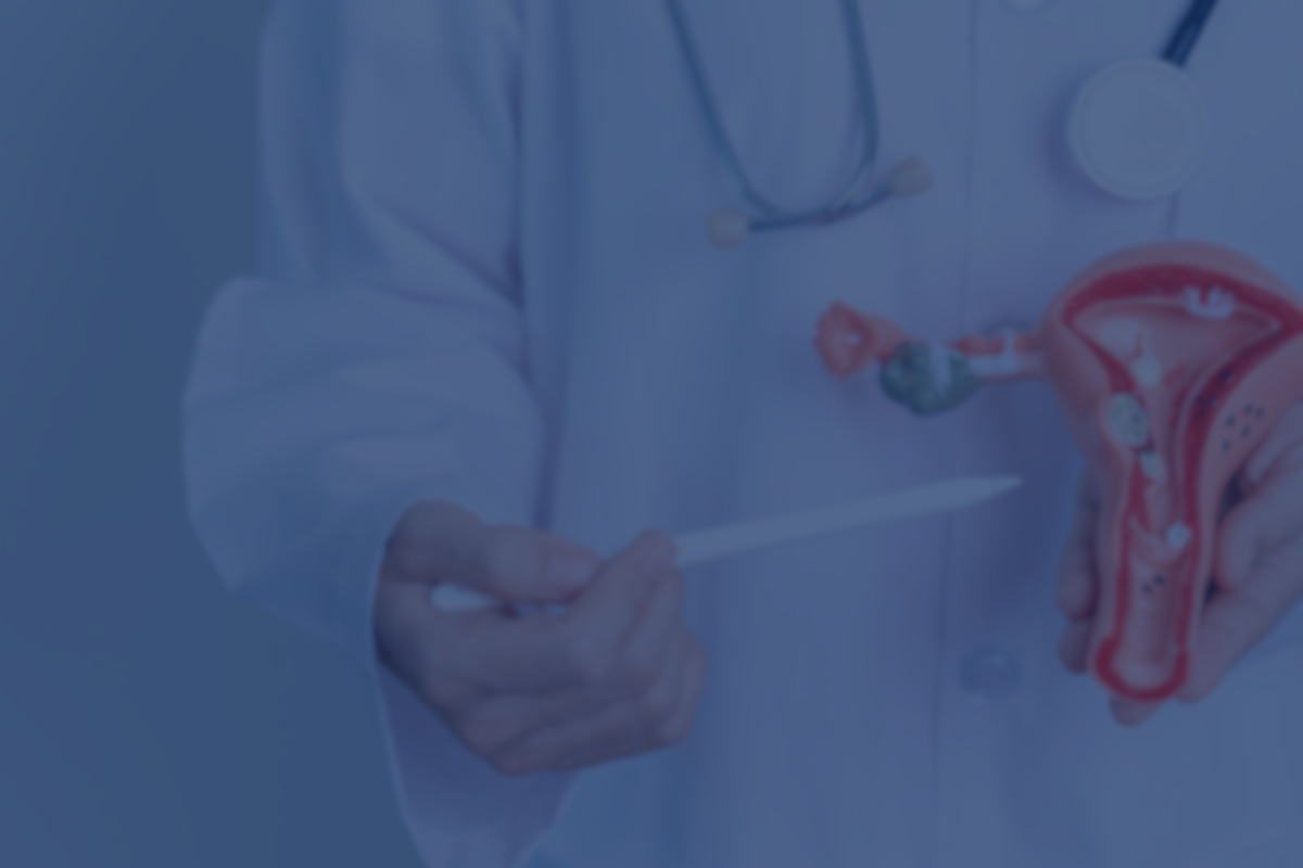 Consulta Ginecológica e Obstétrica